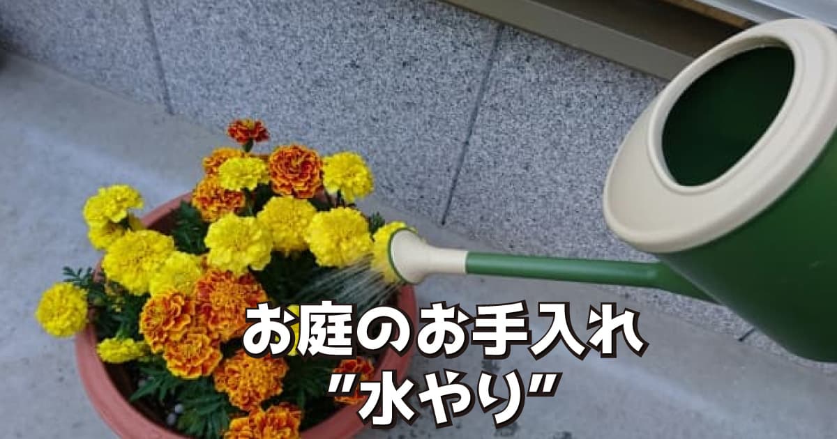 ”水やり”