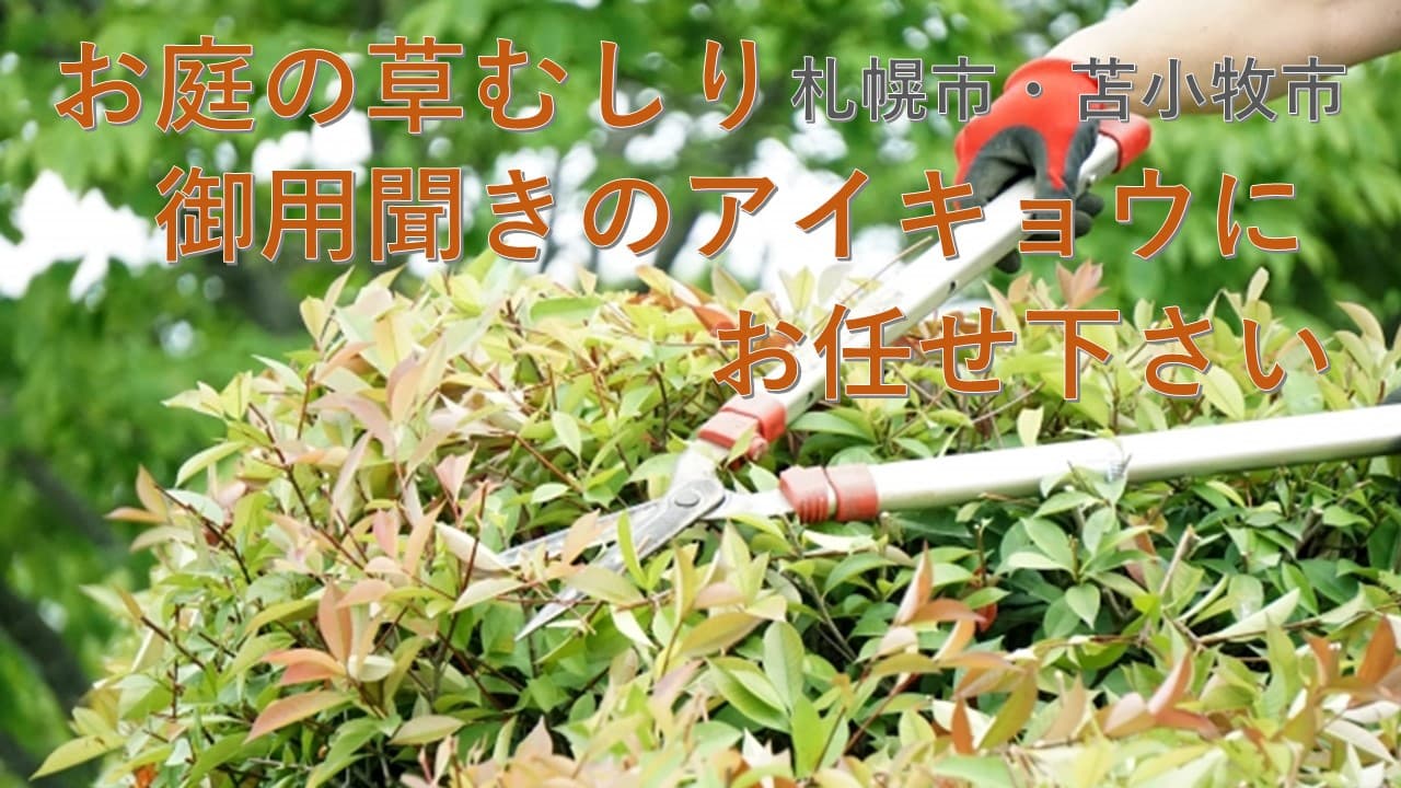 不用品回収！お庭の草むしり！ルームクリーニング！